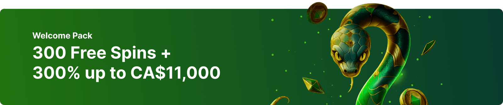 Neospin Banner Desktop